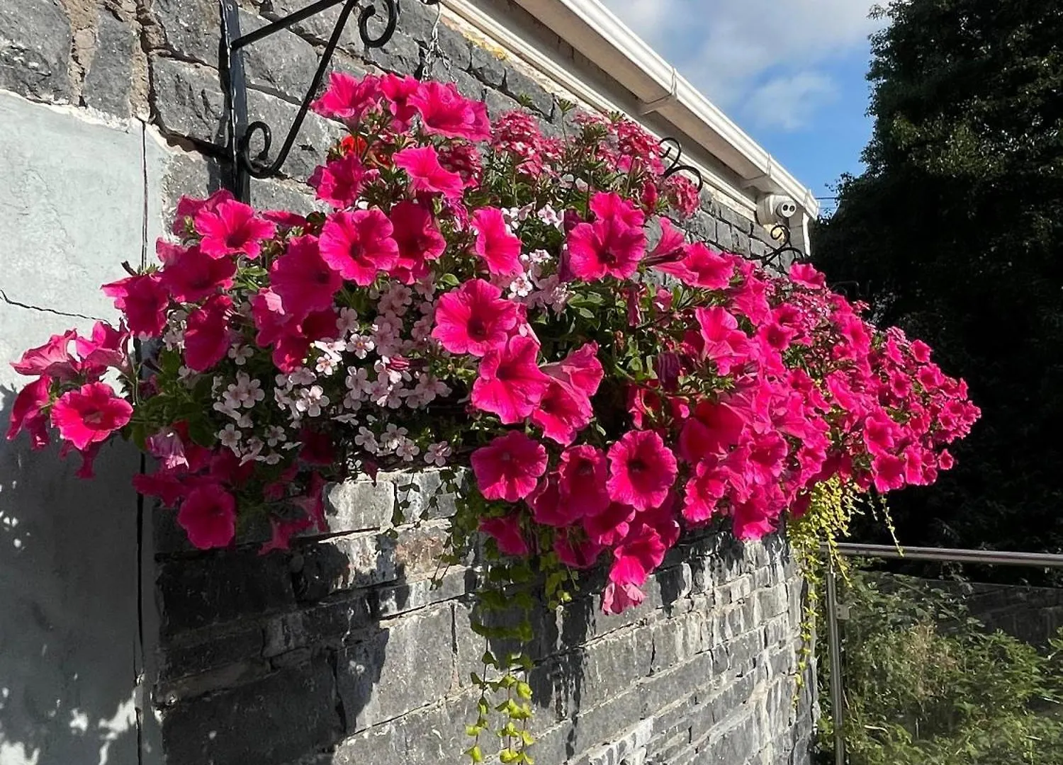 Shandon Bells Guest House Cork 3*,